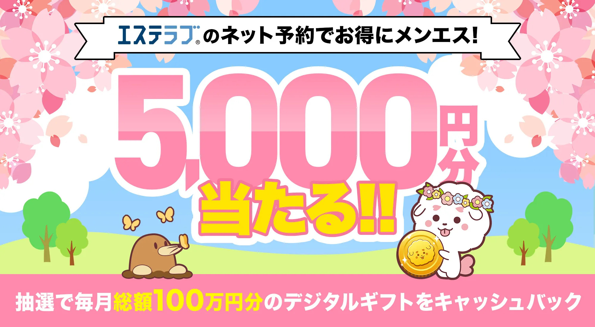 エステラブキャンペーン